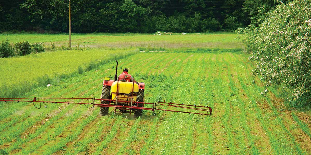 Fertilizing