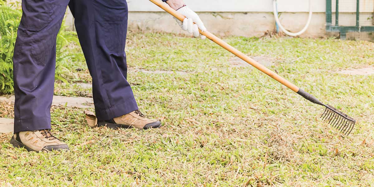 Power Raking