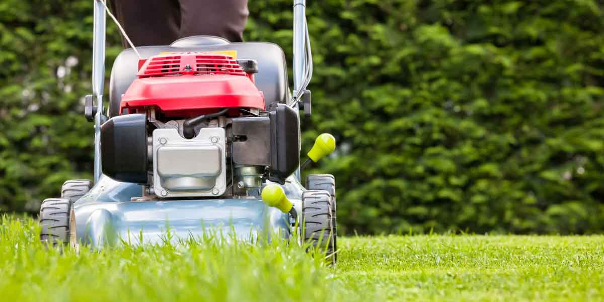 Lawn and Garden Care