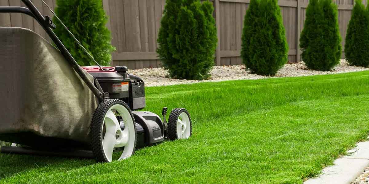 Lawn and Garden Care